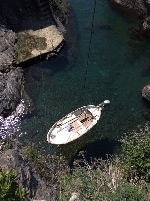 Manarola víze