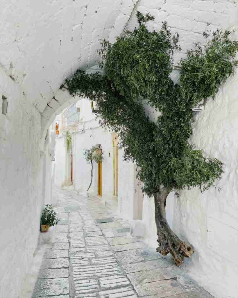 Ostuni