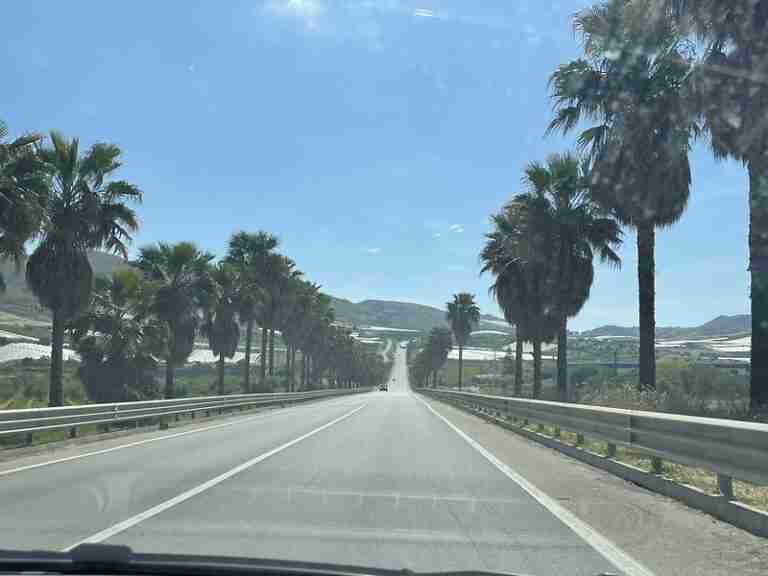 Szicília a fóliasátrak királynője