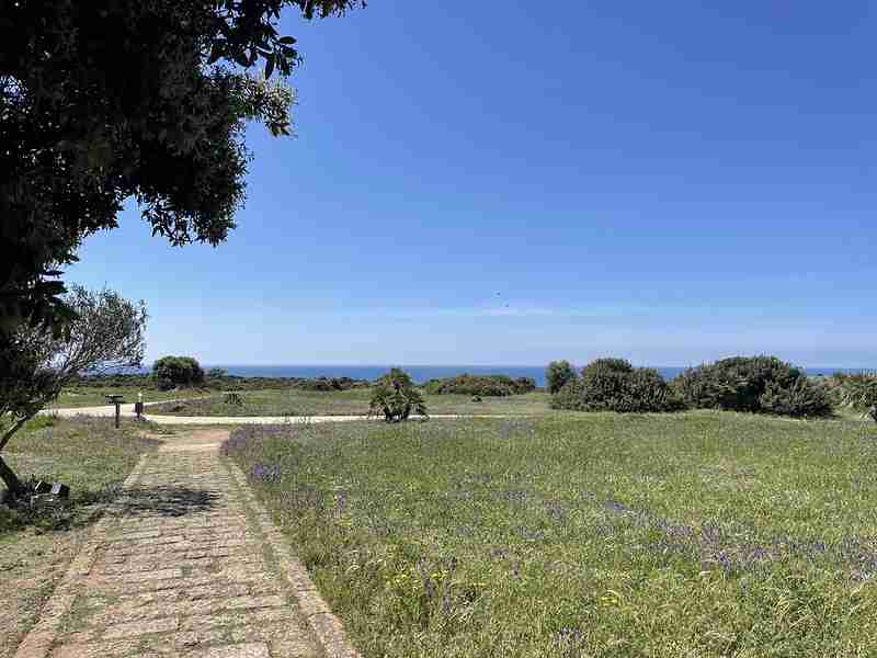 Selinunte látogatás