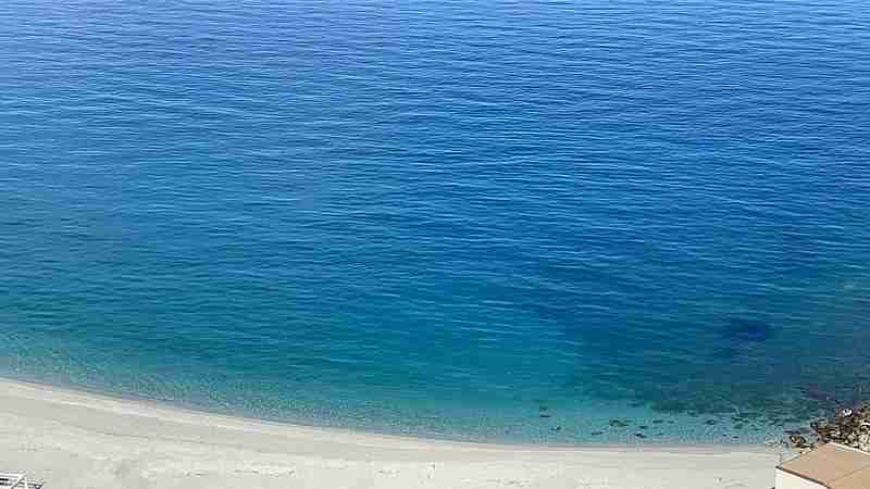 Scilla