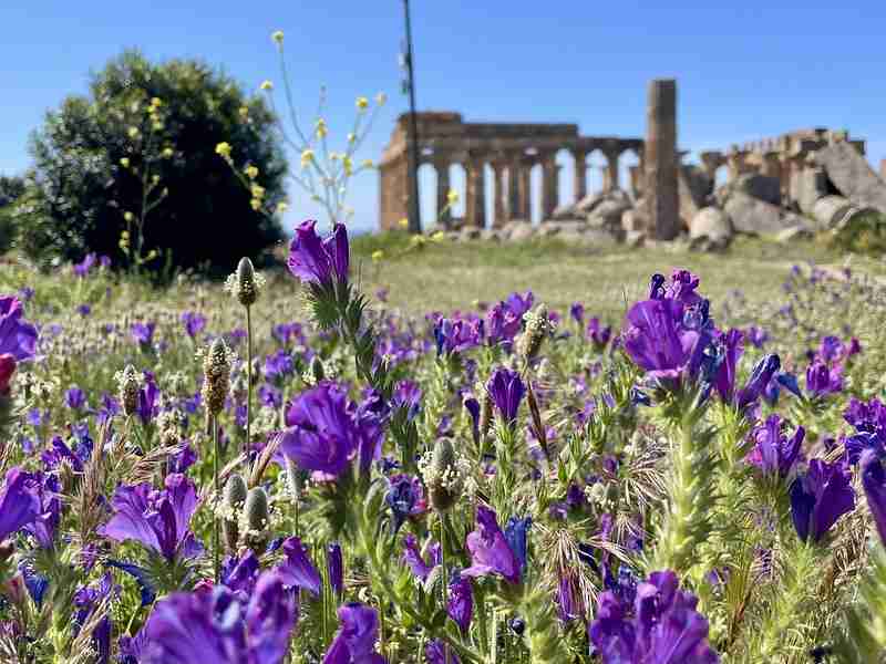 Szicíliai autóbérlés 2026: hogyan ne húzzanak le, és mikor NEM érdemes kocsit bérelni?