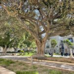 Palma di Montechiaro főtere