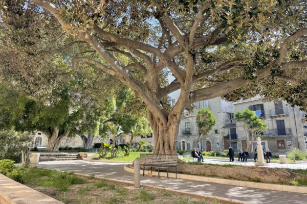 Palma di Montechiaro főtere