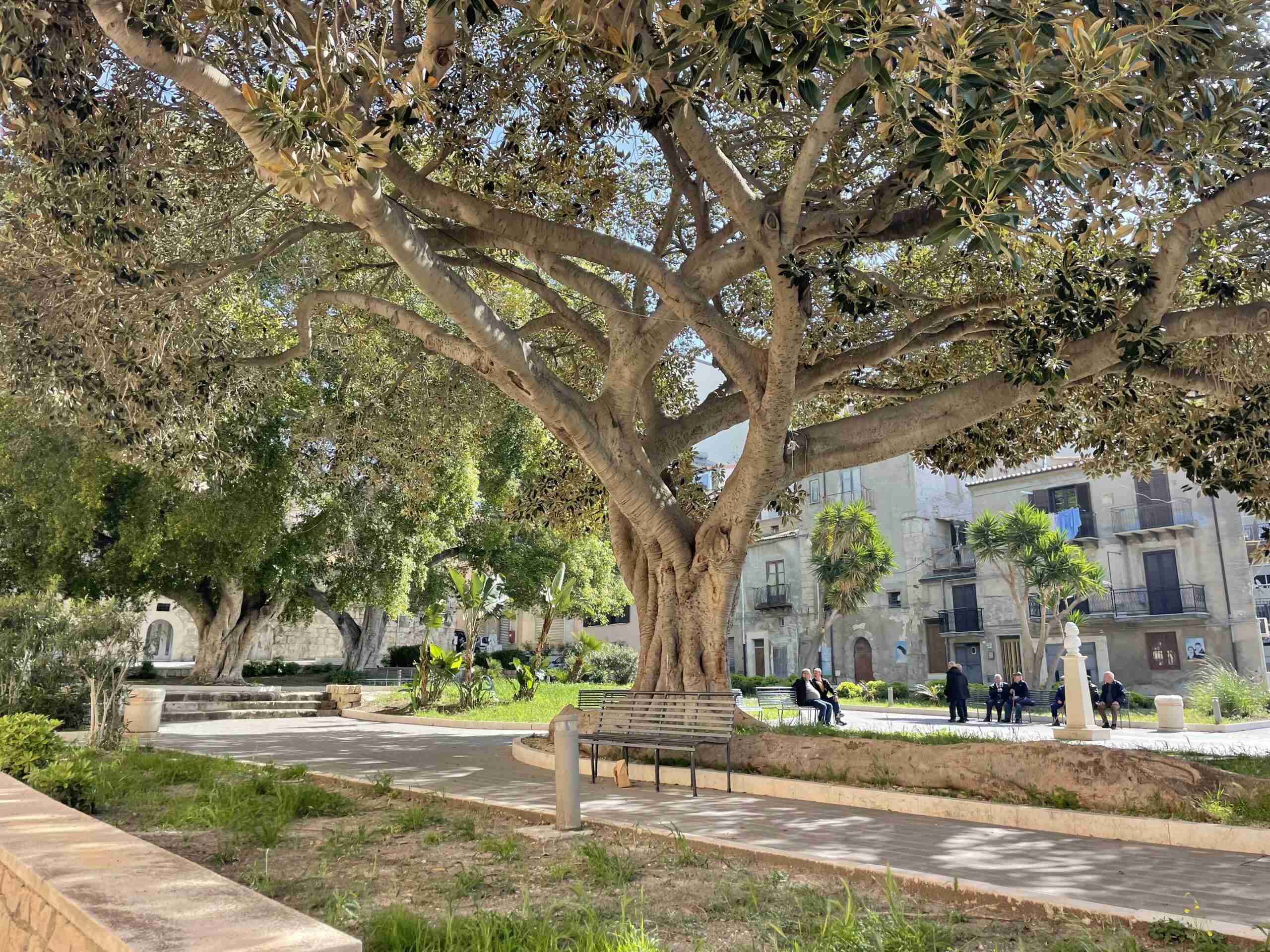 Palma di Montechiaro főtere