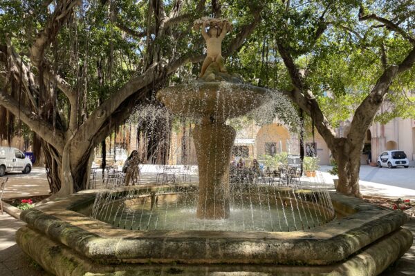 Marsala élménybeszámoló